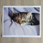 Portrait Katze Aquarell Kunst