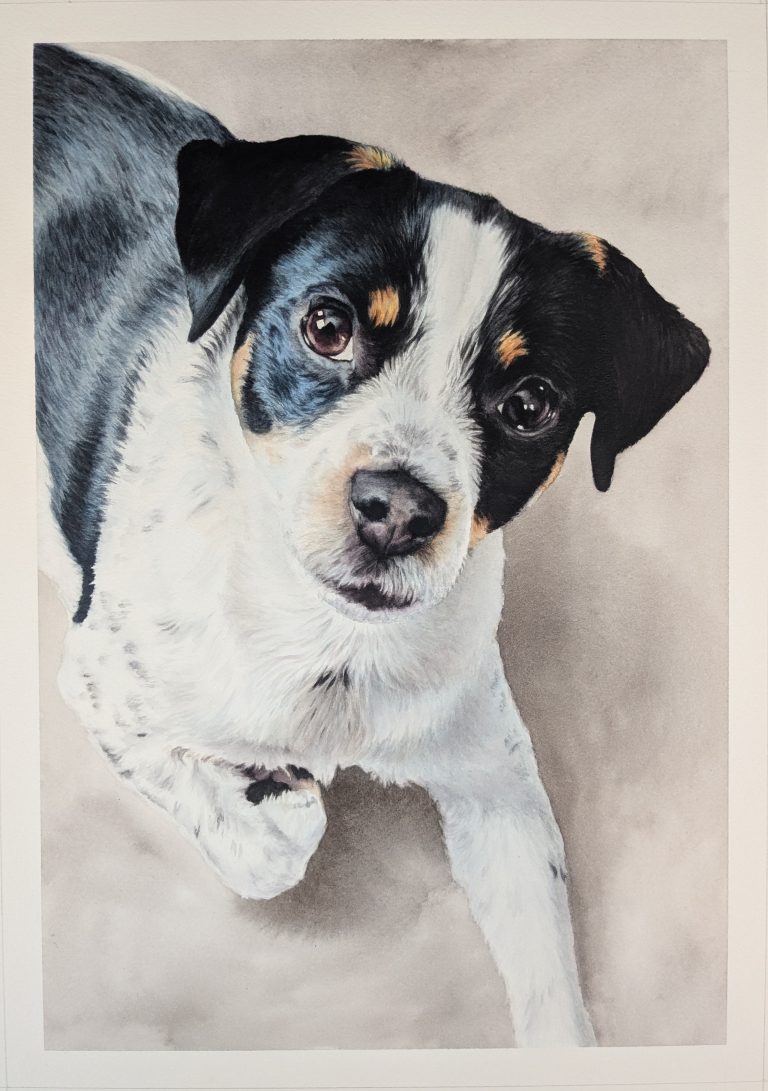 Portrait Aquarell Hund Tierportrait Kunst Gemalt