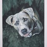 Portrait Aquarell Hund Tierportrait Kunst Gemalt