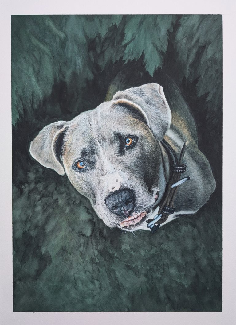 Portrait Aquarell Hund Tierportrait Kunst Gemalt